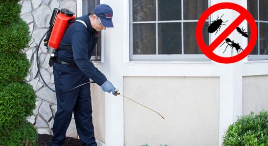 Çatak Hamam Böceği İlaçlama böcek ilaçlama ve haşere kontrolü — ilaclama-tr.com